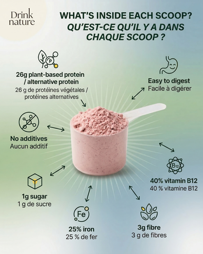 Blueberry protein powder