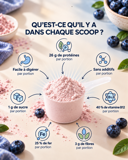 Blueberry protein powder