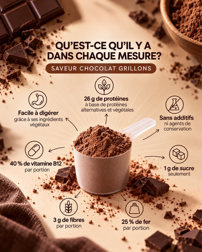 Poudre de protéines au chocolat